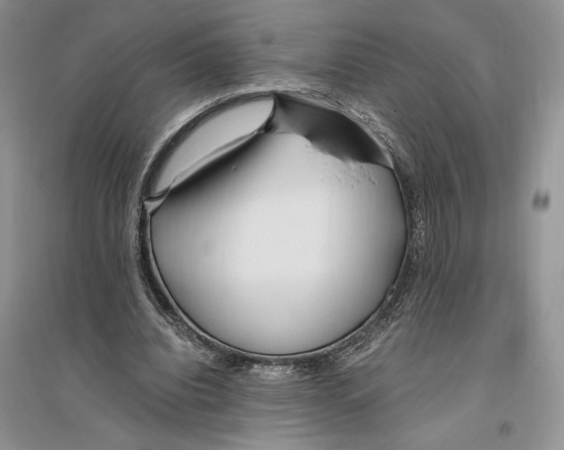 X0000096200440200802151529