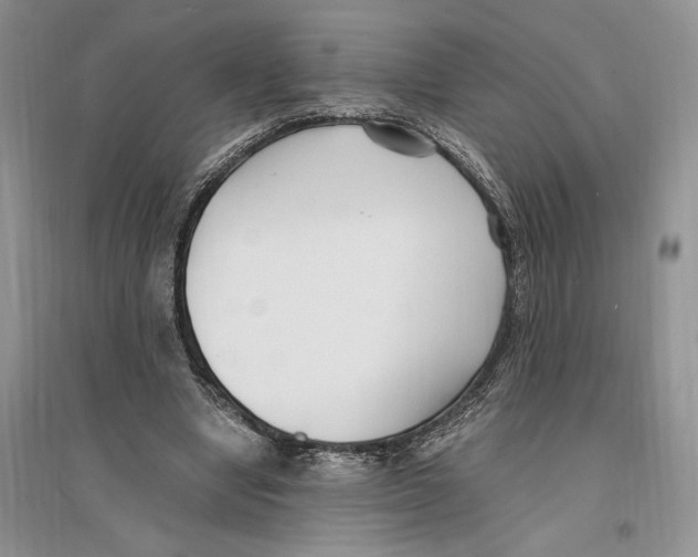 X0000096200442200802151529