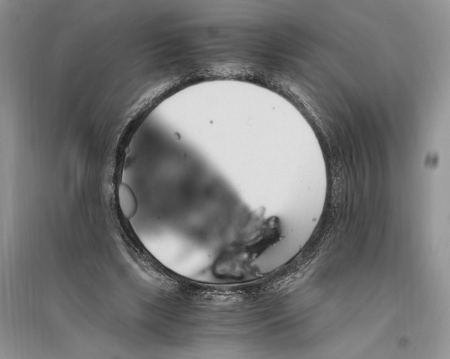 X0000096200443200802151529