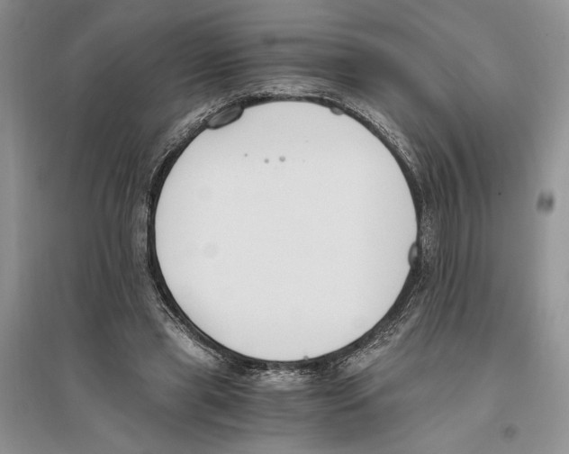 X0000096200445200802151529