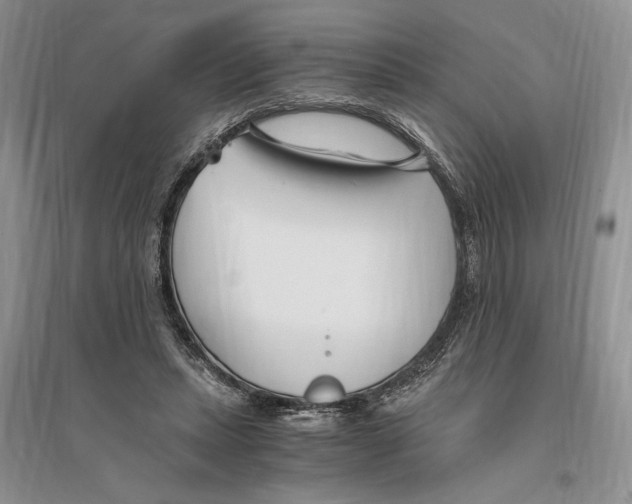 X0000096200447200802151529