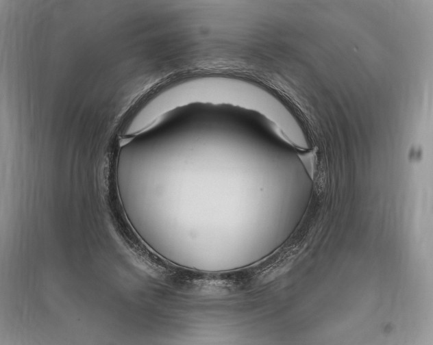 X0000096200448200802151529