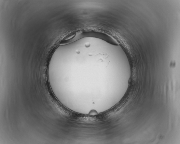 X0000096200449200802151529