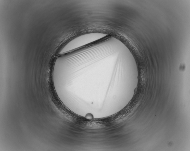 X0000096200451200802151529