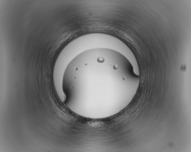 X0000096200452200802151529