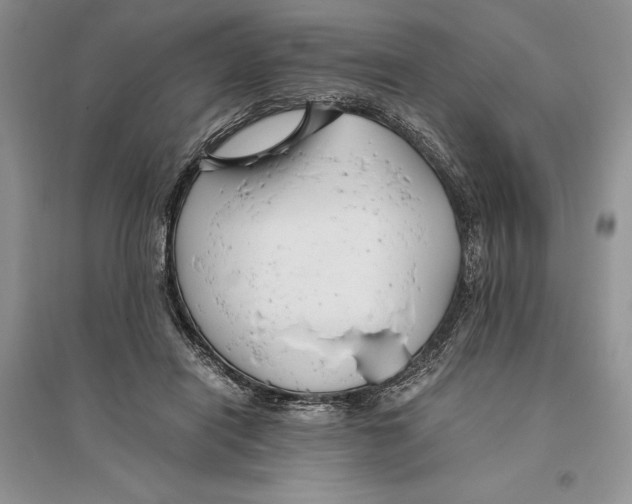 X0000096200454200802151529