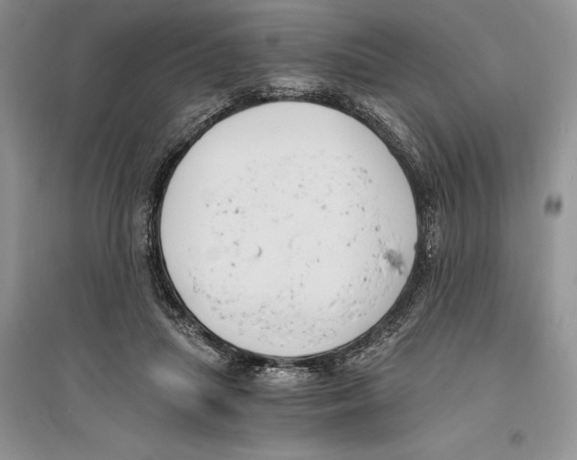 X0000096200455200802151529