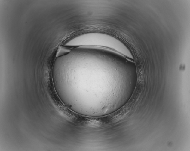 X0000096200456200802151529