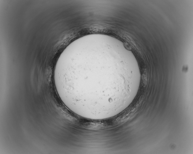 X0000096200458200802151529