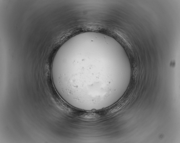 X0000096200459200802151529