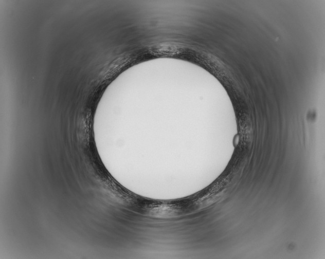 X0000096200460200802151529