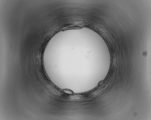 X0000096200461200802151529