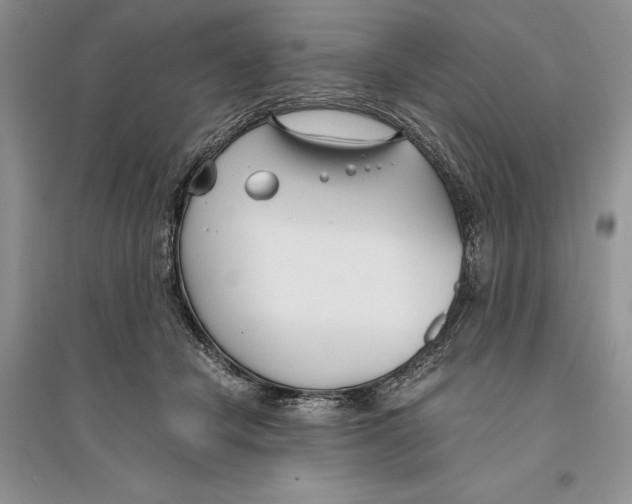 X0000096200462200802151529