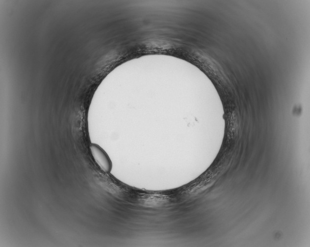 X0000096200463200802151529