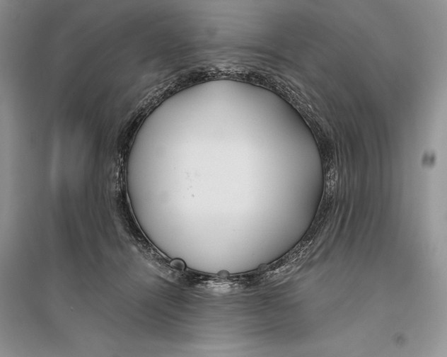 X0000096200464200802151529