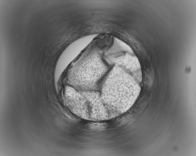 X0000096200465200802151529