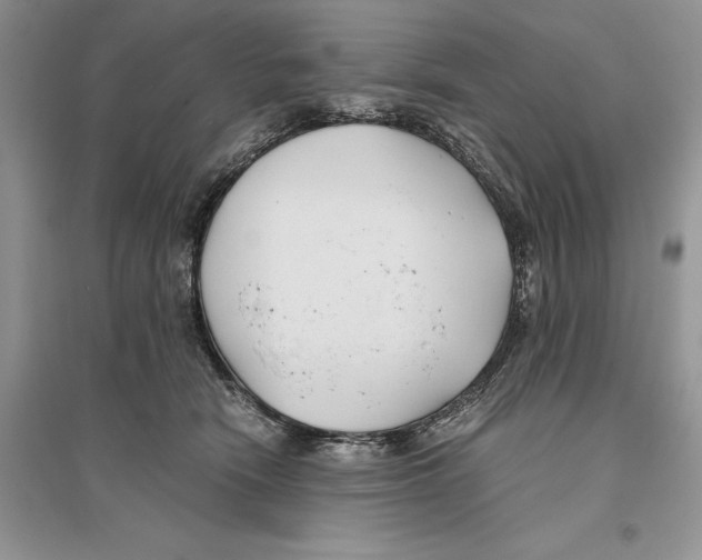 X0000096200466200802151529