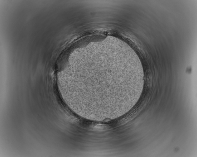 X0000096200467200802151529