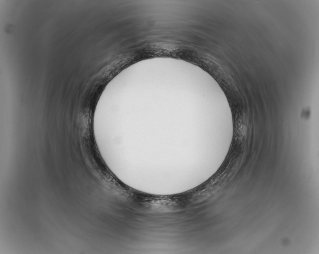 X0000096200468200802151529