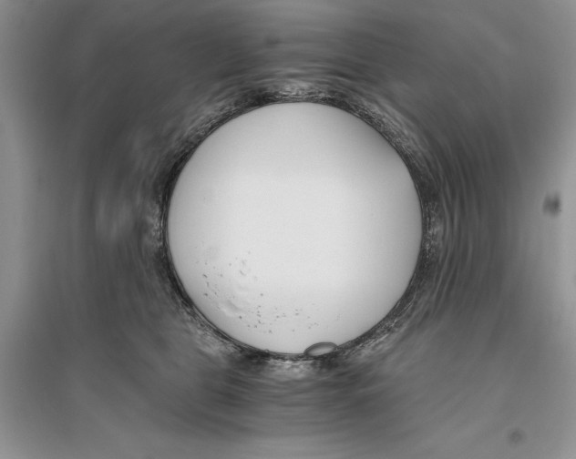 X0000096200469200802151529