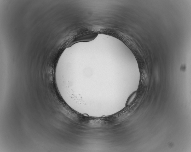 X0000096200470200802151529