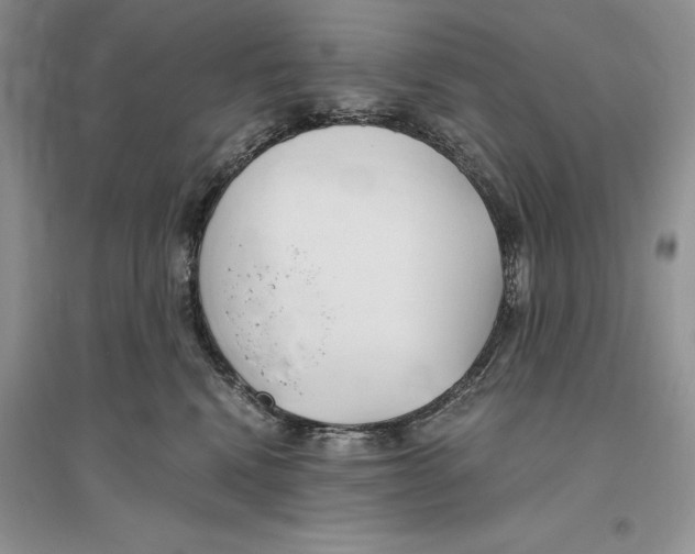 X0000096200472200802151529