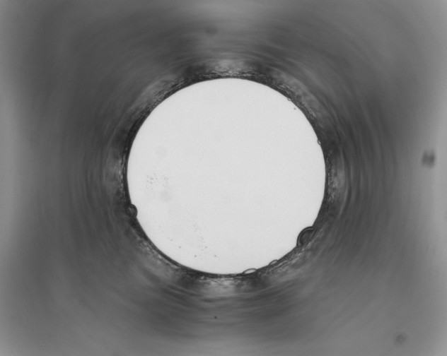 X0000096200473200802151529