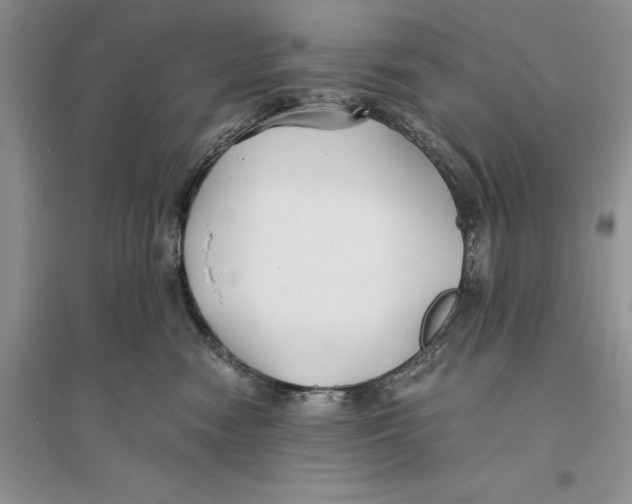 X0000096200474200802151529