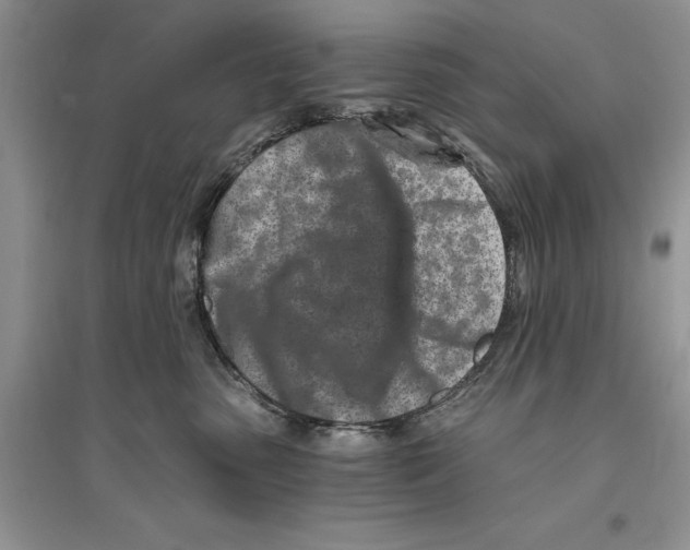 X0000096200475200802151529