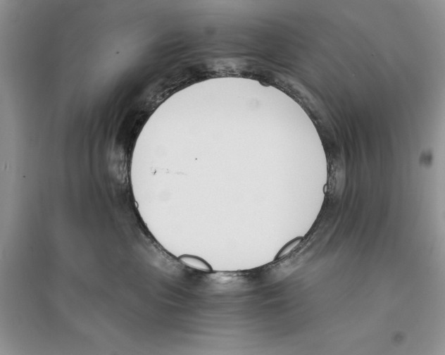 X0000096200477200802151529