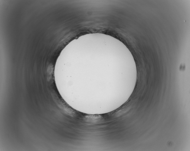 X0000096200480200802151530