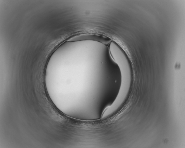 X0000096200481200802151529