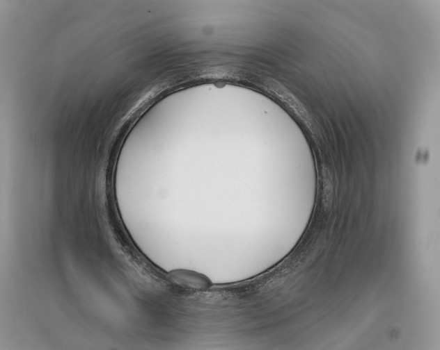 X0000096200482200802151529