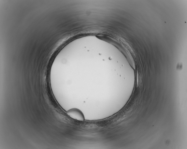 X0000096200483200802151529