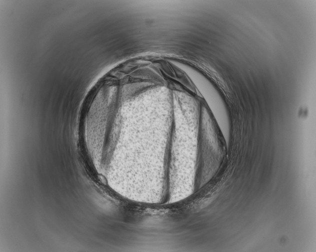 X0000096200484200802151529