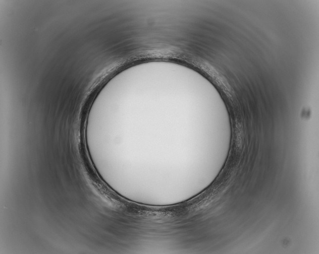 X0000096200486200802151529