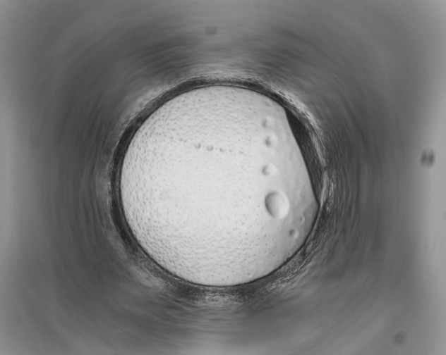 X0000096200487200802151529