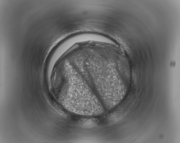 X0000096200488200802151529