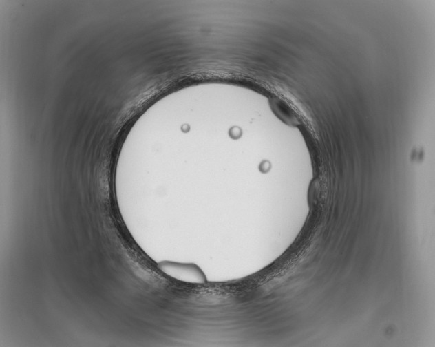 X0000096200489200802151529