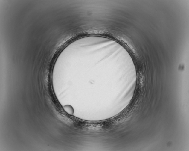 X0000096200491200802151529