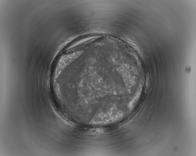 X0000096200492200802151529