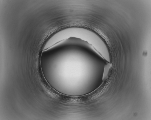 X0000096200493200802151529