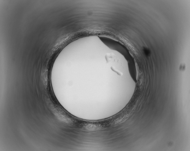 X0000096200494200802151529