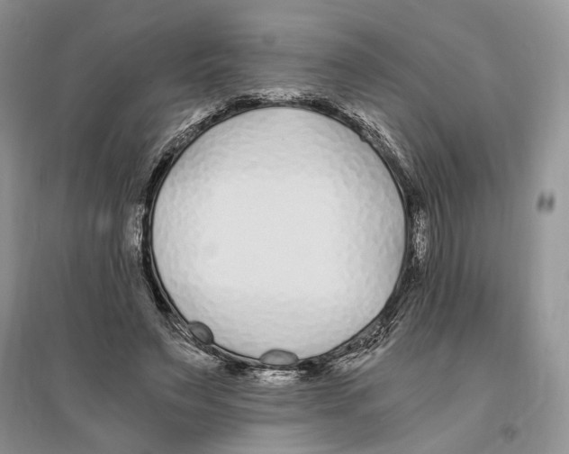 X0000096200495200802151529