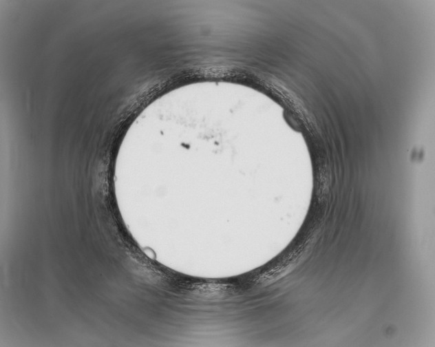 X0000096200497200802151529