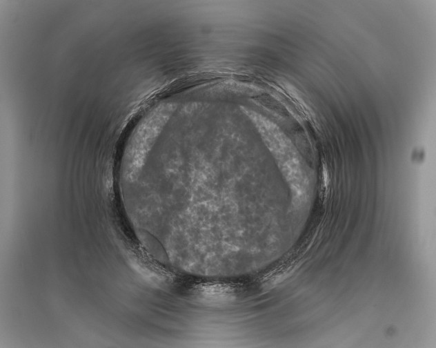 X0000096200500200802151529