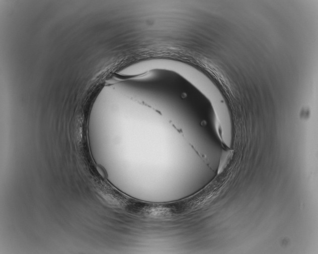 X0000096200501200802151529