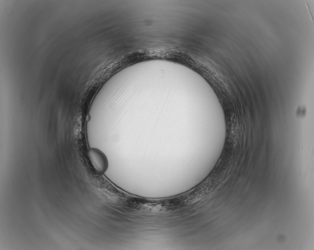 X0000096200502200802151529