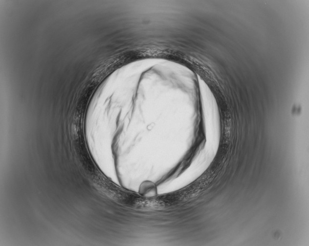 X0000096200503200802151529