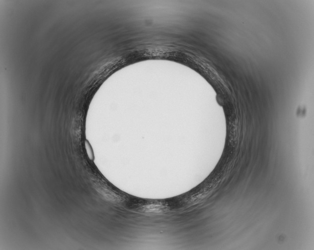 X0000096200505200802151529